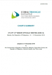 SOM-14 Chair's Summary