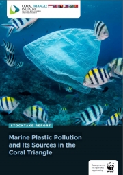 Marine Plastic Pollution and Its Sources in the Coral Triangle